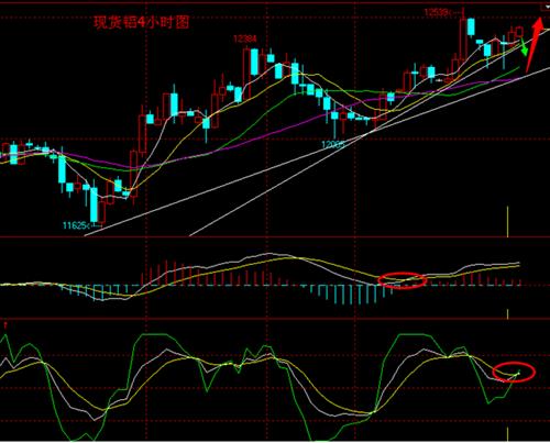 gdp是什么金属_白带是什么图片