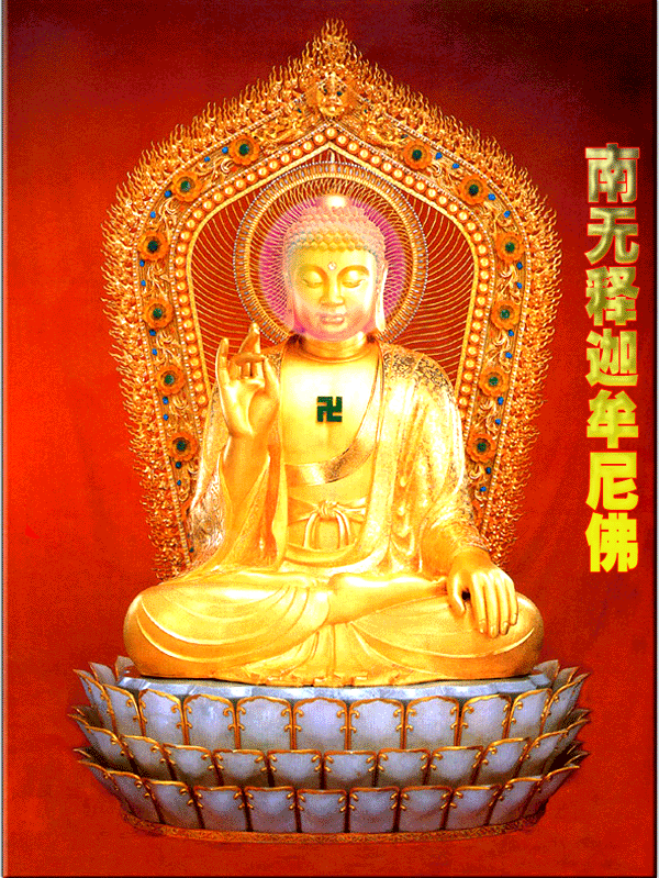 龙翔九天任我傲.