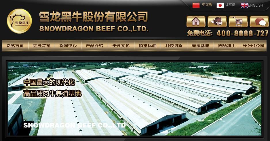 中路投资的明星企业——雪龙黑牛股份有限公司
