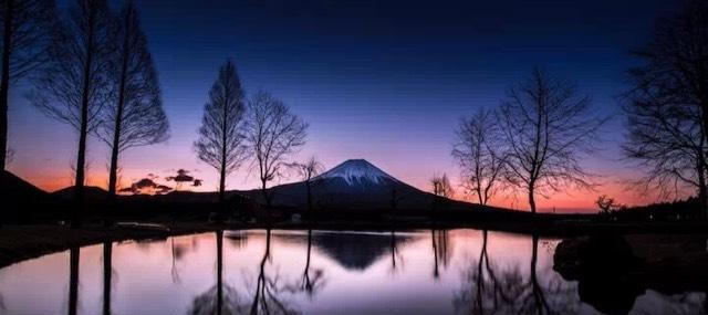 图片很美!应景!