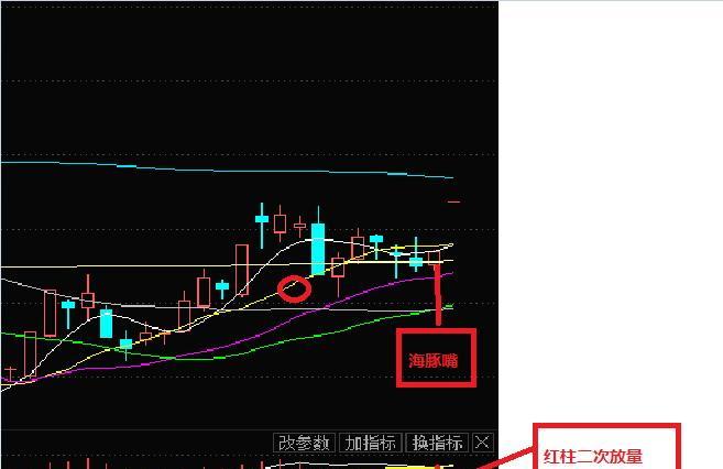 海豚張嘴&空中加油!