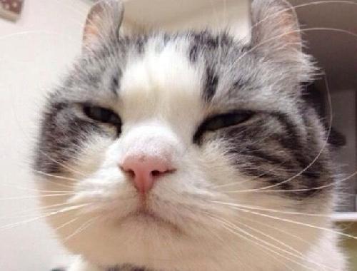 [图片]_安彩高科(600207)股吧_东方财富网股吧