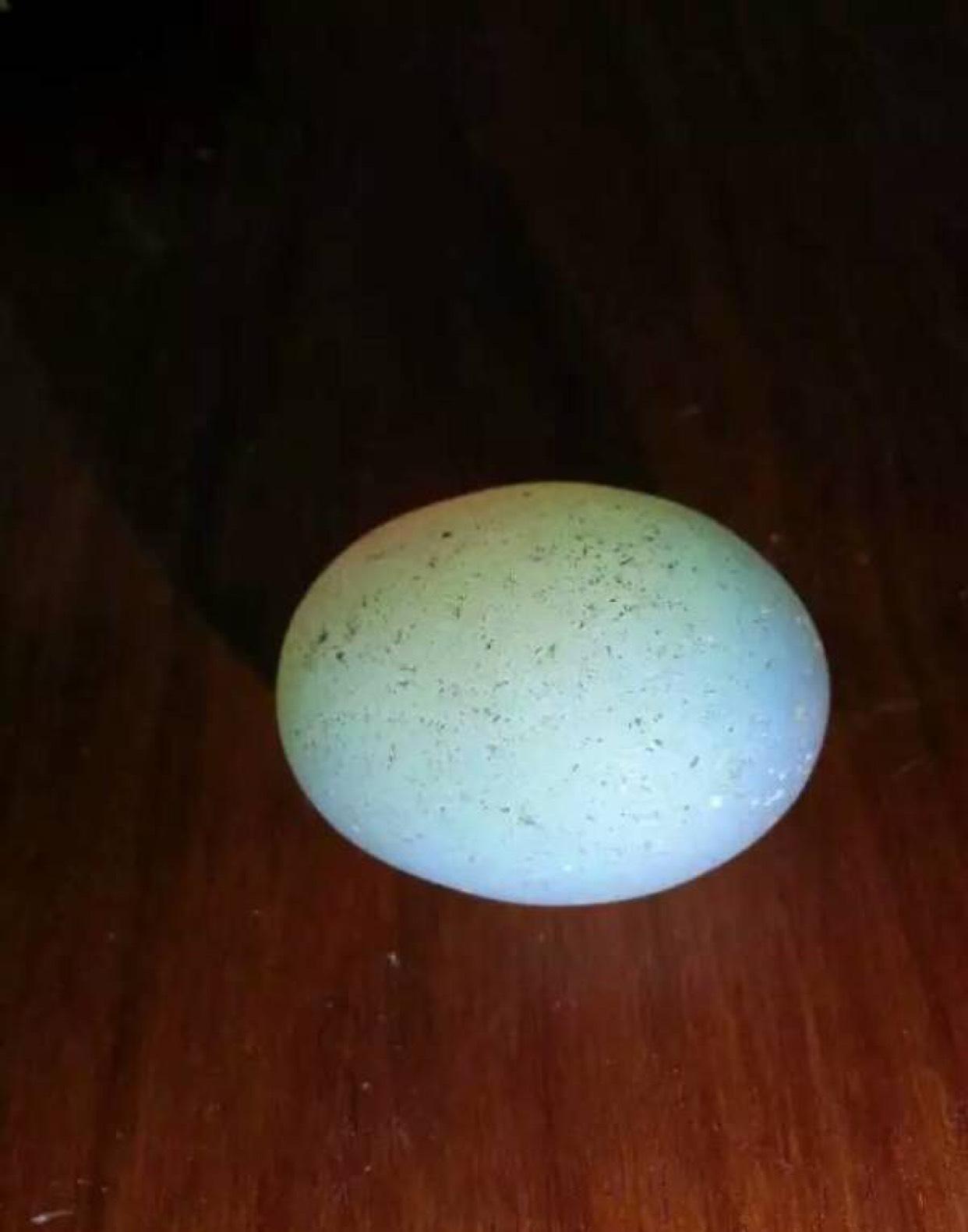 看看我东海龙宫的夜明珠[大笑]