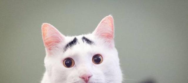 多跟t王学习学习,高买低卖,原来可以这么做t,怪不得叫t王,高,实在是高