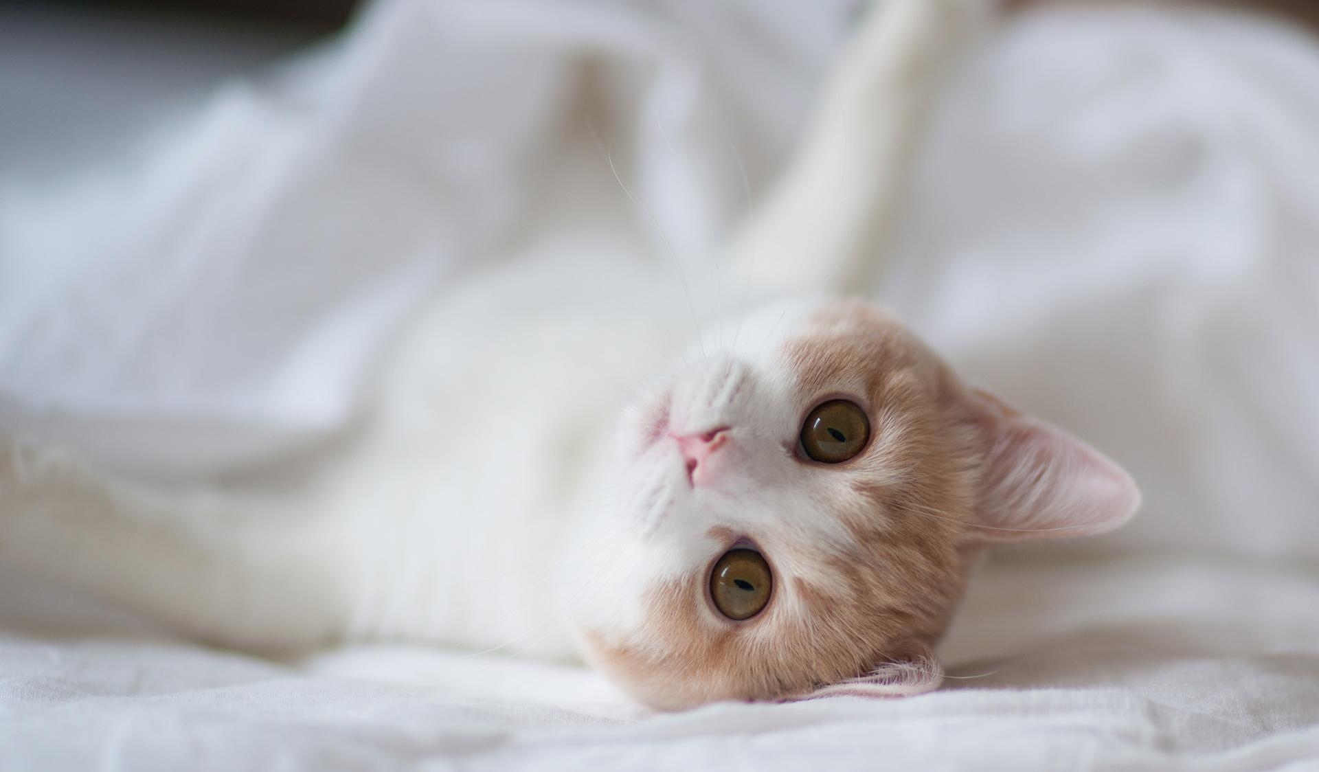 巅峰之路993——大单压盘(5)