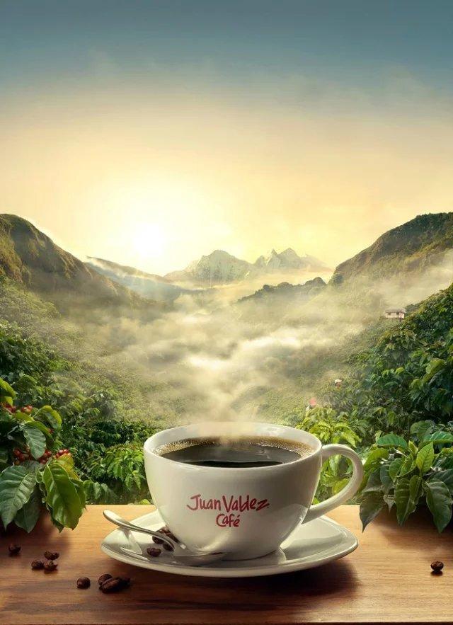 绿色食品>早晨咖啡>希望给信发吧带来清香弥漫阳光普照!