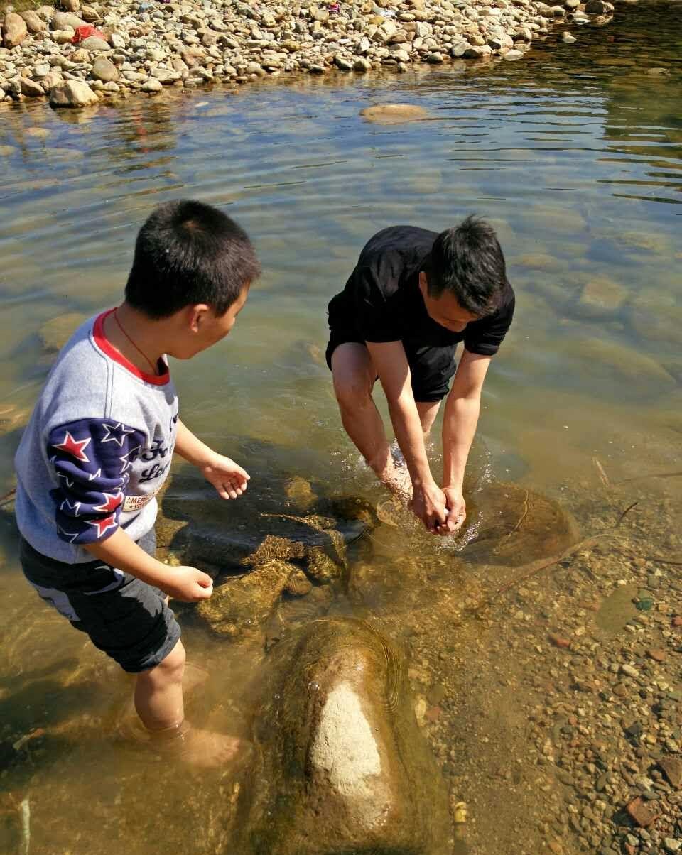 谁说的水清则无鱼,莫非这是混水摸鱼.