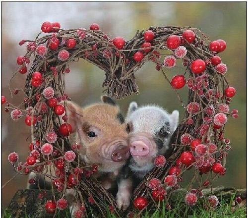 留意122811_波罗的海bdi指数(zsgjbdi)股吧_东方财富网股吧