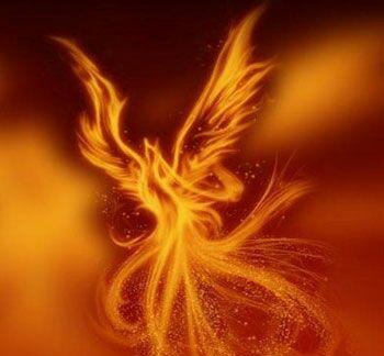 凤凰涅盘,一飞冲天[牛]