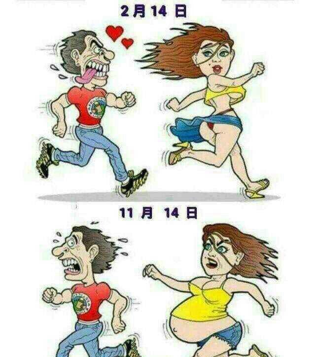 哈哈哈,贾总搞笑,2.14追乐视,11.14抱个大金娃娃,寓意深刻想想吧