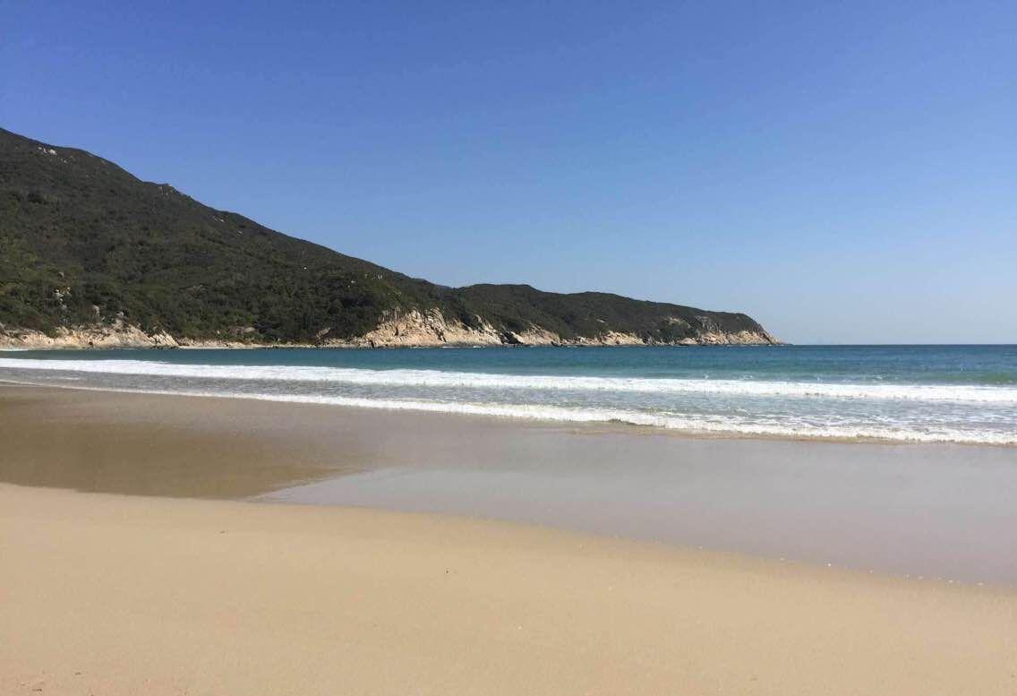 股吧！300205股票“后来居上”