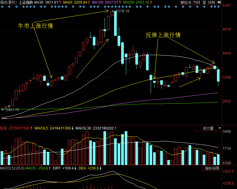 2015十大价值成长次新股牛股之三(深度剖析):信息发展(上篇)