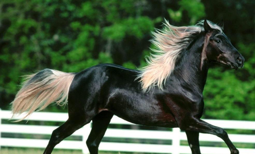 诞生啦_国海证券(000750)股吧_东方财富网股吧