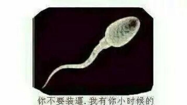 傻牛,不要再装b了,我有你小时候的照片,当你刚离开我身体的时候,我就