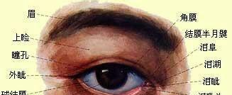 看清了!应该全上涨[微笑]