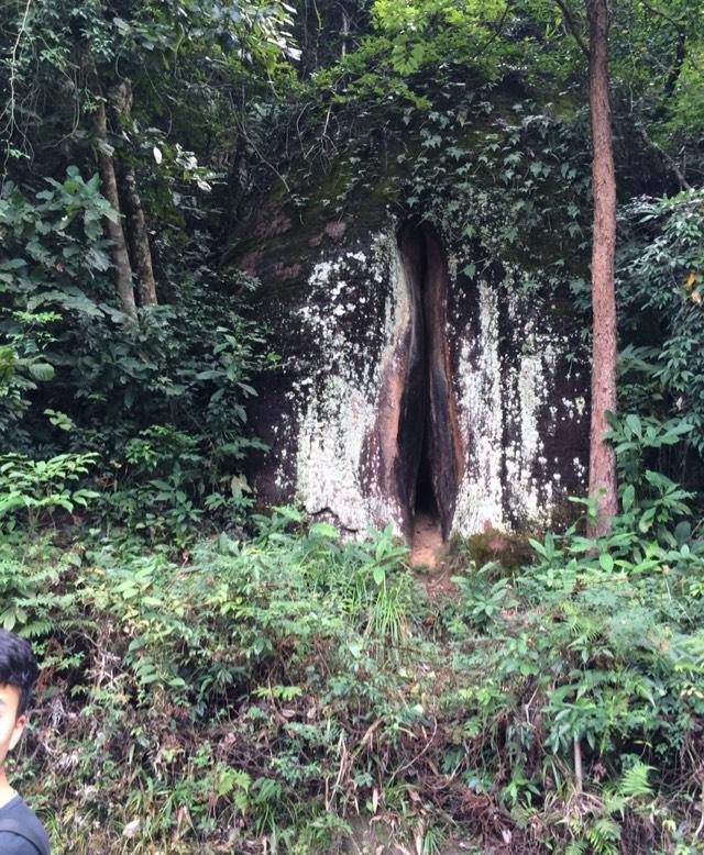 明日一柱擎天还是巨阴,拭目以待!