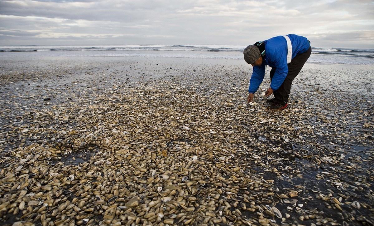周四:稀缺锂矿资源股要涨,而且要大涨!