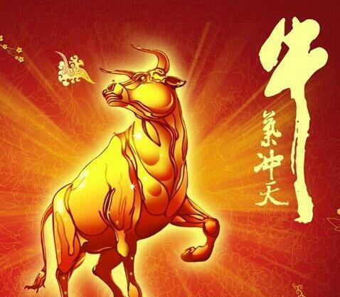 银星能源吧牛气冲天!!! 胜过5000点盛况!!! 好股票大家都喜欢!!! 主力