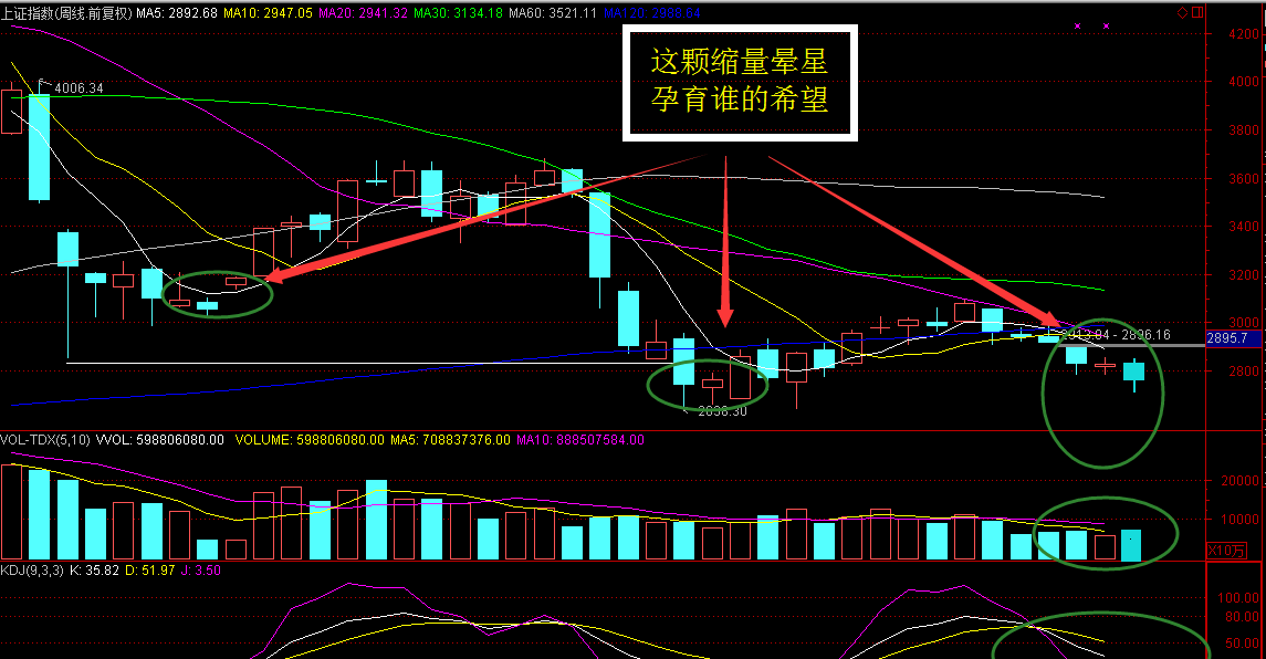 脑壳好昏这颗周孕星孕育谁的希望