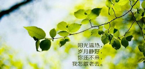 人生若只如初见的下一句是何事秋风悲画扇 3873DA4F9C0DD6BEF514B56E8D600E23.jpg
