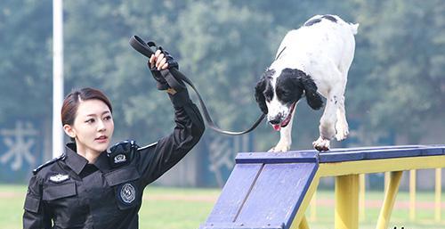 《警花与警犬》开播 黄梦莹变训犬警花
