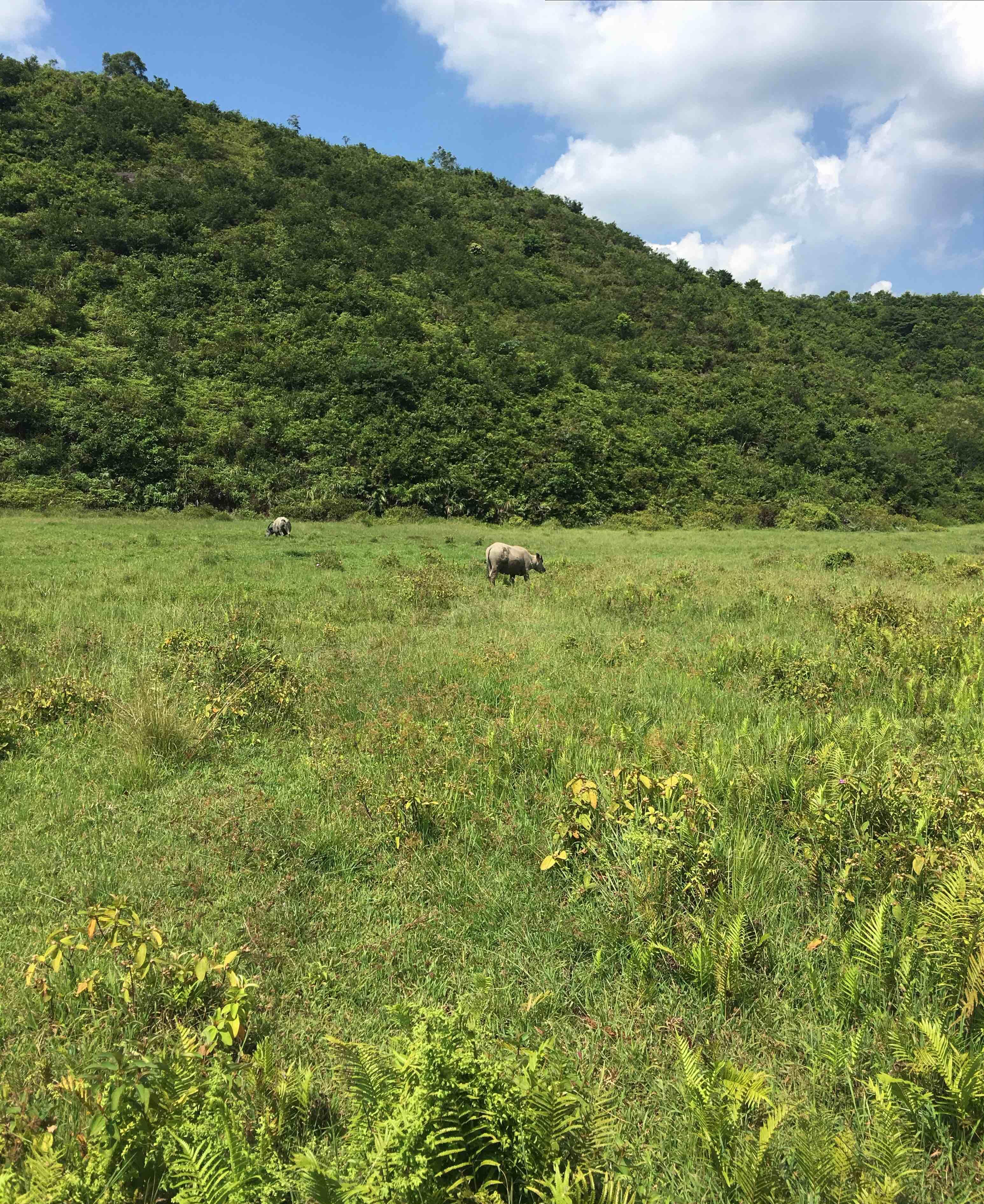 大盘这么绿,再牛的个股又怎么样?