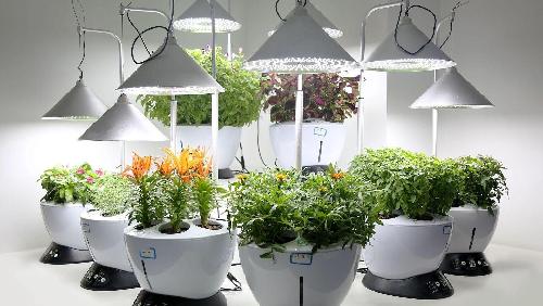 全自动植物生长机