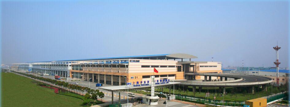 美丽的外高桥集团