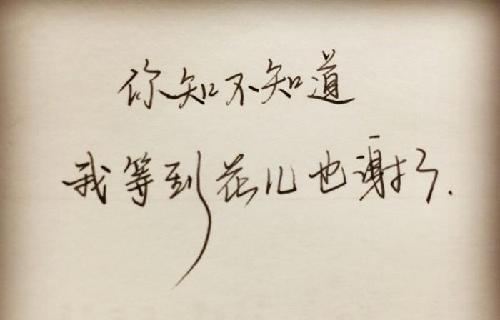 我等到花儿也谢了!