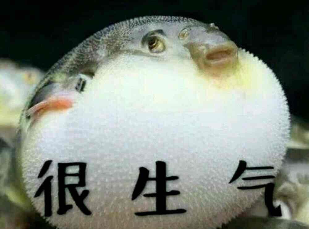 你们说气不气人,我还没上车呢![哭]