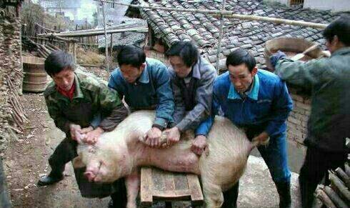 09元?今日被斩了很多猪头![为什么][抄底][看多]