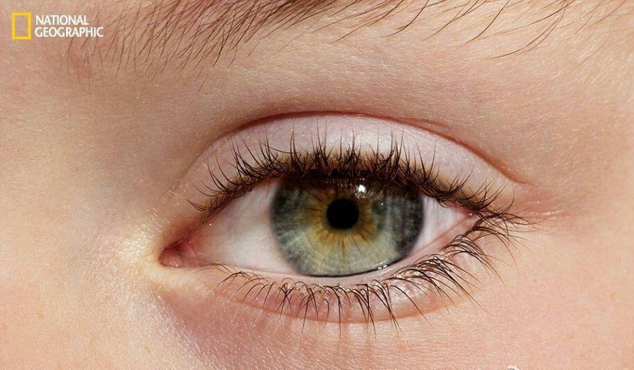 寻找下一只金科娱乐……点赞过50,在此分享!