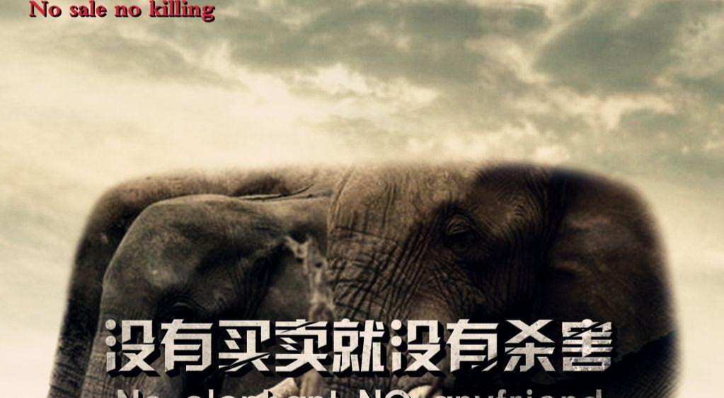 没有买卖就没有杀害!