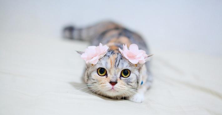 股吧!300152股票“交口称誉” 股吧!300152股票“交口称誉”