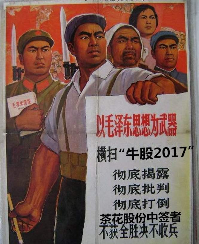 茶友散户们,速度进来!茶花30板不是梦!