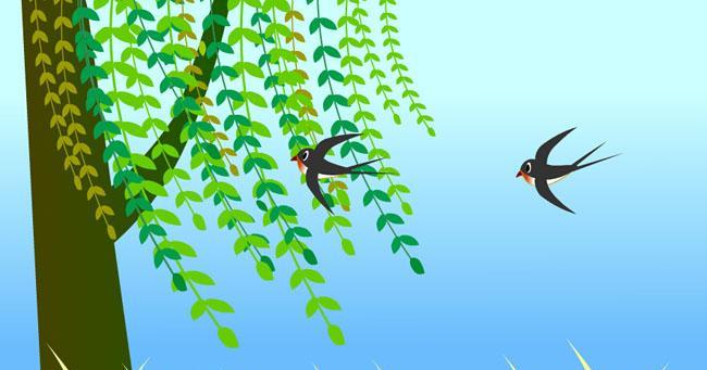 春天燕子飞来了!