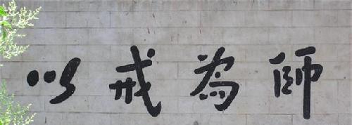 01,戒为良药:戒看盘的十个阶段