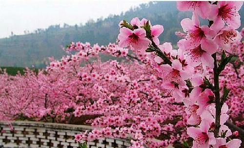 中兵红箭十七元,就是他的第一步已经踏实,十七元以下就是抢筹的机会