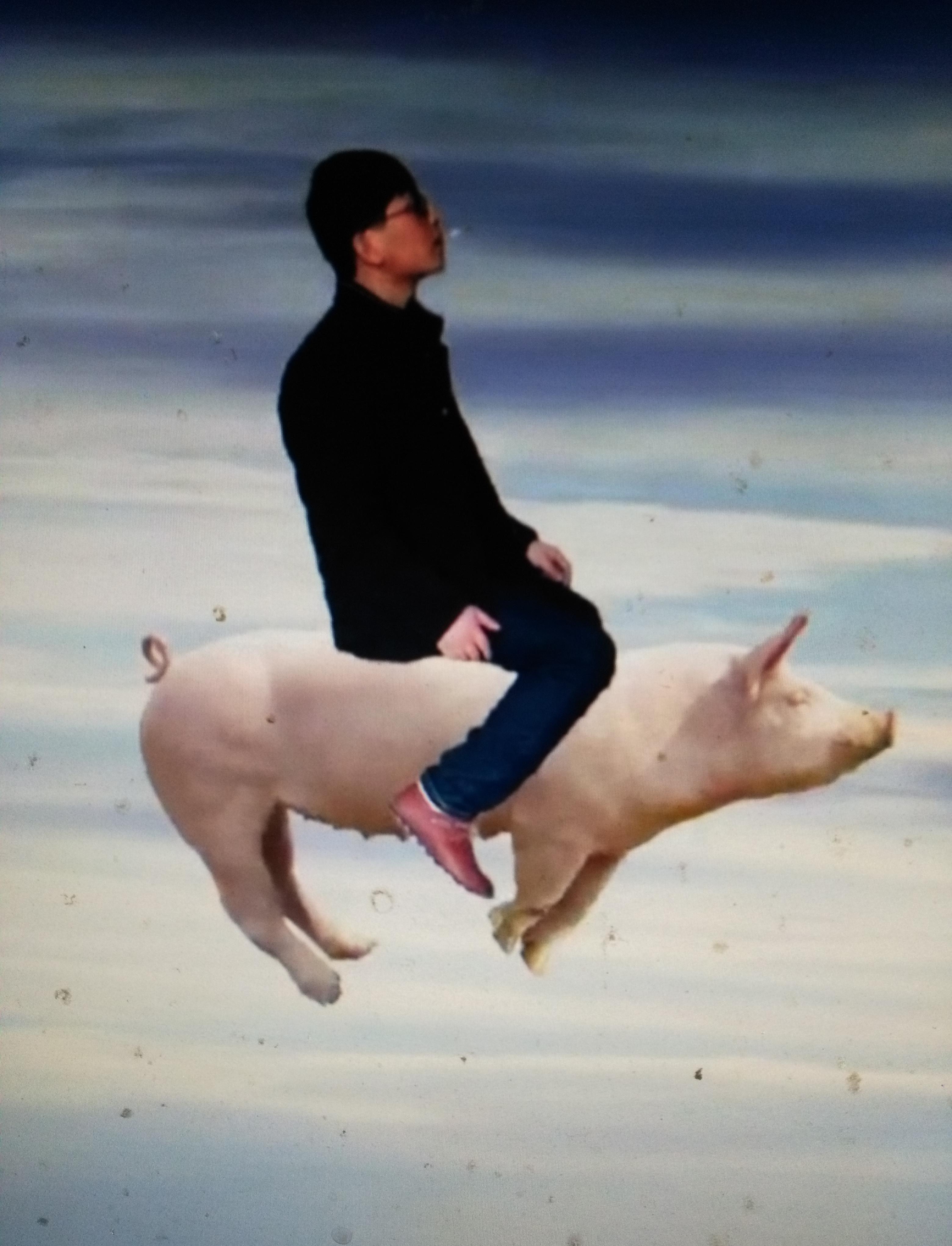 等风来,风来了猪也会飞关键是风停了