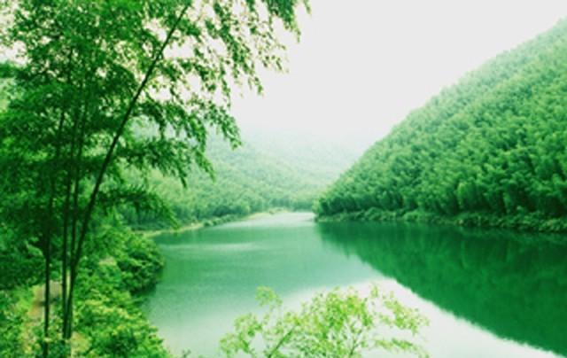 周天易梦6一个生态养殖园里的五光十色的故事