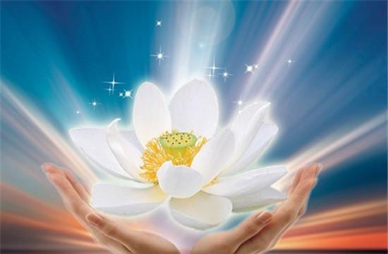 不会走人道天道王道,不懂人情味,,就关门吧!都省心