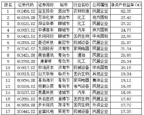 净资产排名_随手记净资产趋势图(3)