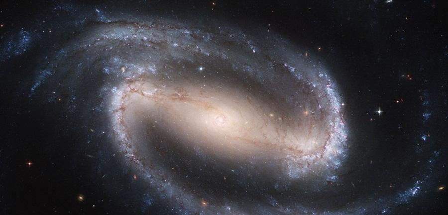 星天理论的定位是什么?