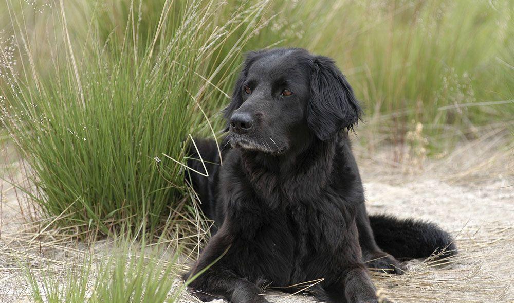 大家来认识一下黑道[胜利][胜利][胜利]