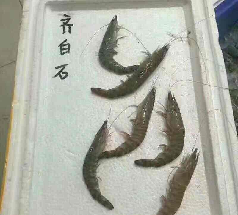 满仓待涨