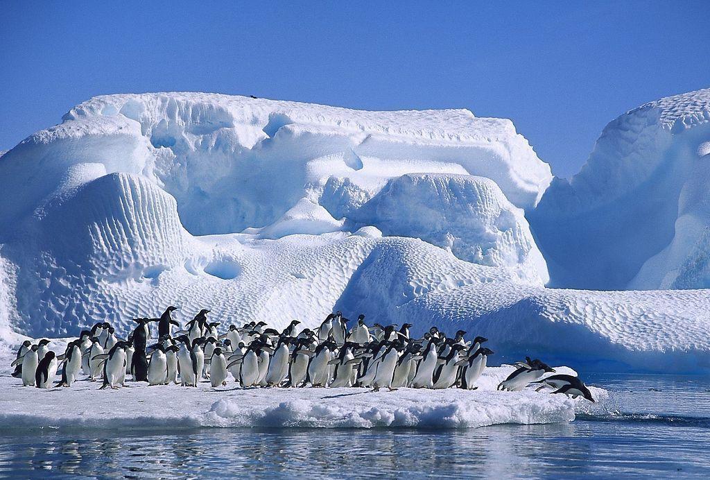          冰凉世界安抚着你我一颗