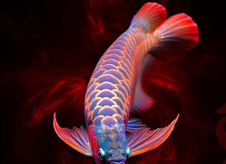 棺材板压不住了