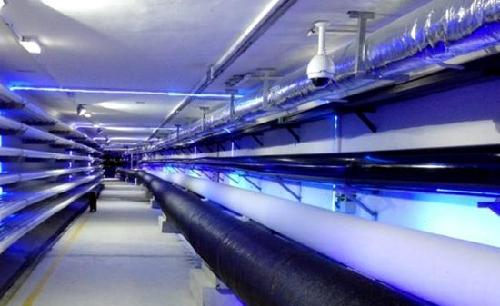 "真雄安"智慧管网金洲管道即将爆发