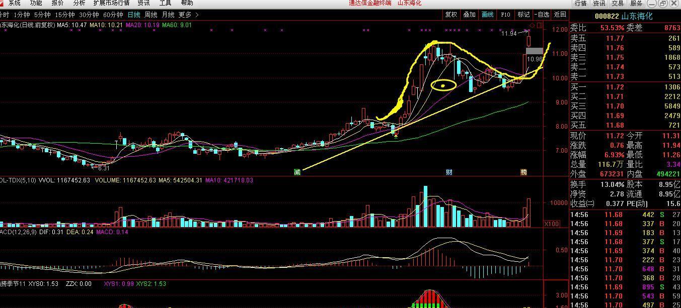 老鸭头形态牛股,山东海化,下一步该如何走?