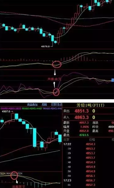 用戶在財富號/股吧/博客等社區發表的所有信息(包括但不限於文字,視頻